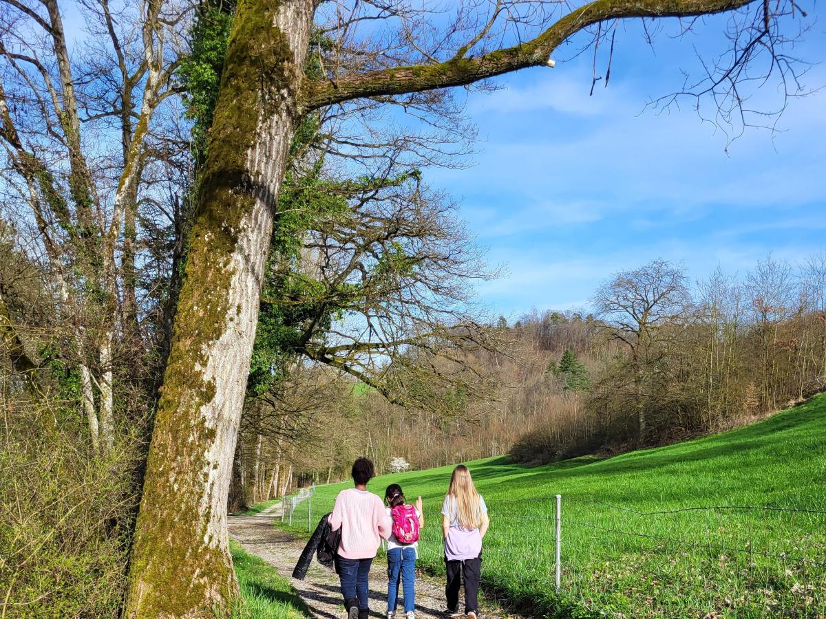 Spaziergang in Zurzach